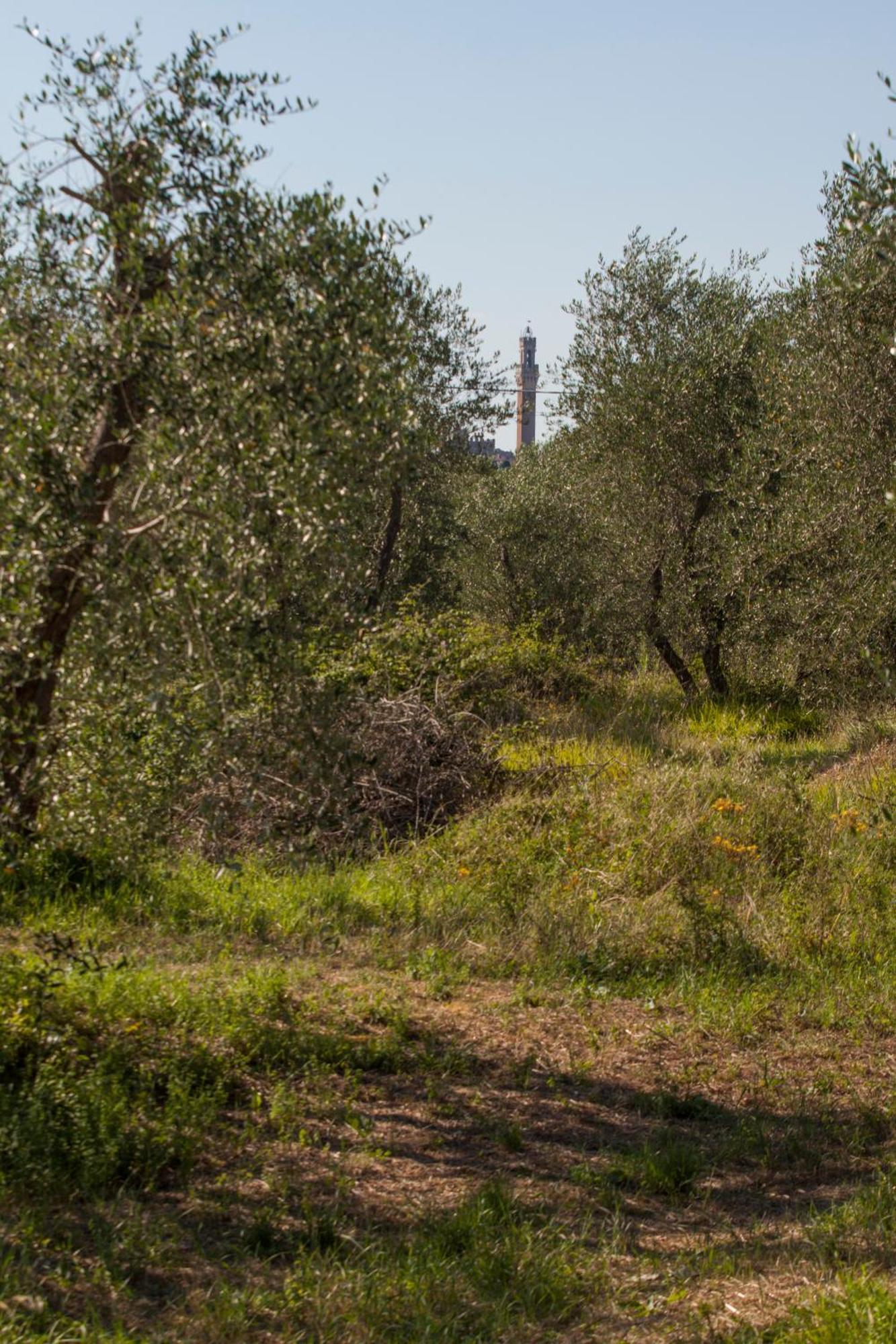 Podere Piazza Casa Dell'Arcivescovo Siena Luaran gambar